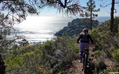 L’année VTTAE 2025