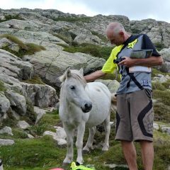 Même hauteur de selle que mon YT