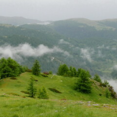 P1150664