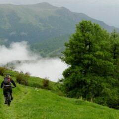 P1150685
