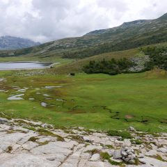 Soulagement du corps, des yeux, et de l'esprit devant la perle des lacs Corses : le lac de Nino à 1743m
