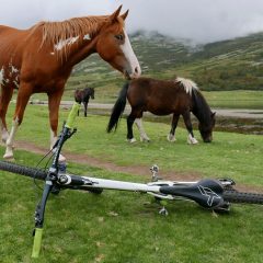 Les 2 plus belles conquêtes de l'Homme